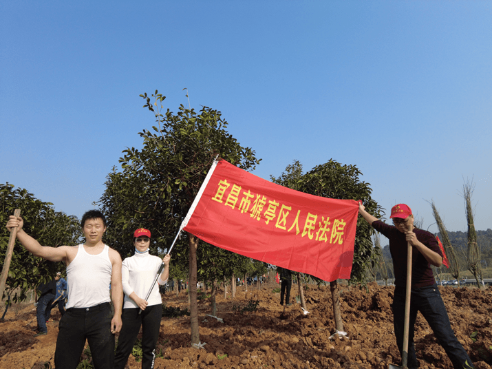 图片6.png